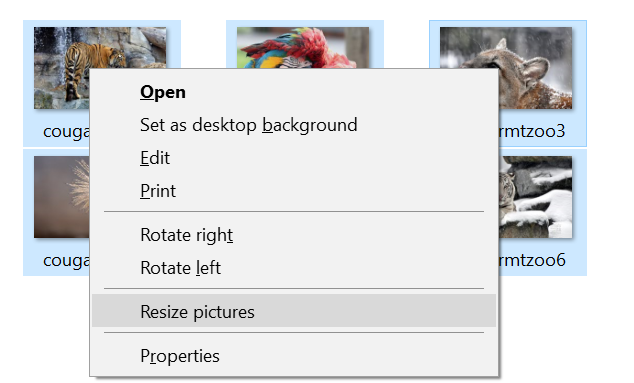 resize images on right click with Windows 10 003aa06a-ac4b-4d18-a65c-73d63c743d89?upload=true.png