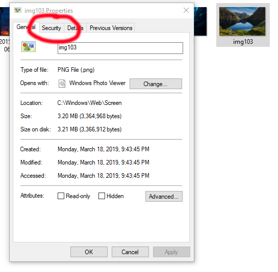 Windows 10 Home - Changing "TrustedInstaller" to "Administrator" to edit or remove items. 021b7e74-d4cf-4467-921c-0086aafa6a47?upload=true.jpg