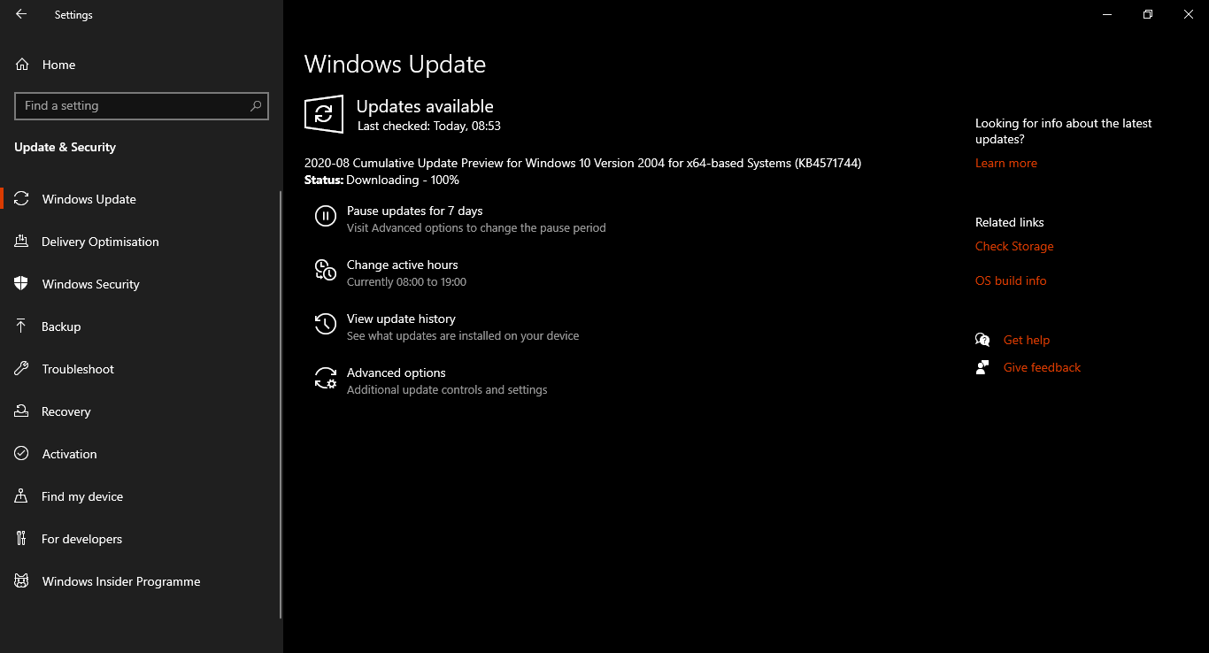 Windows update stuck at 100% downloading 02a32e2e-f6f6-4fd9-9dee-125613545218?upload=true.png