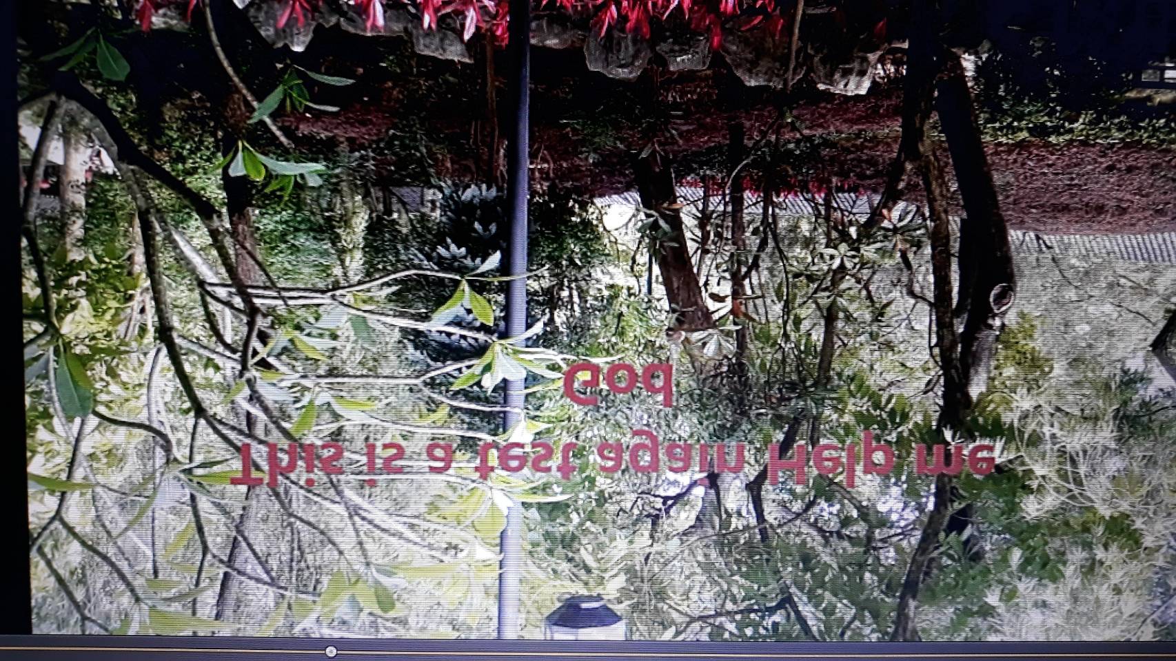 3D text TURN UPSIDE DOWN 0522d46f-eb8c-43fa-ac3a-a5de1bc6f5f2?upload=true.jpg