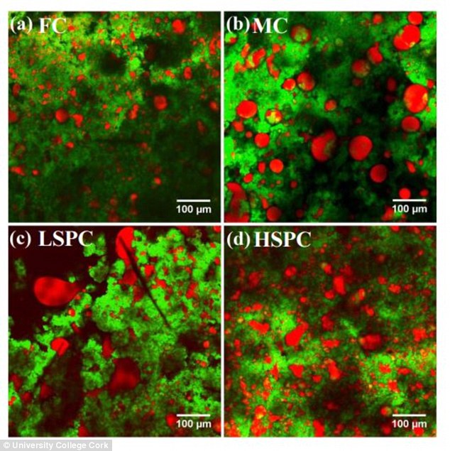 Printing 3D Models on 2D printing sheets 0578-4324408-The_team_tested_four_different_types_of_cheese_and_found_variati-a-22_1489766056025.jpg