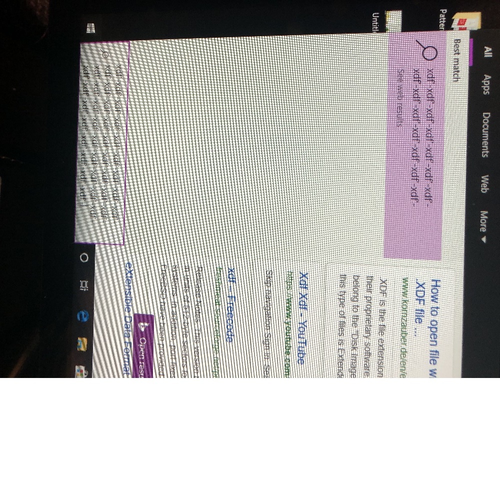 Automatic typing in any search window 06424a87-6548-4b1b-9dcc-c98e6ea2defb?upload=true.jpg