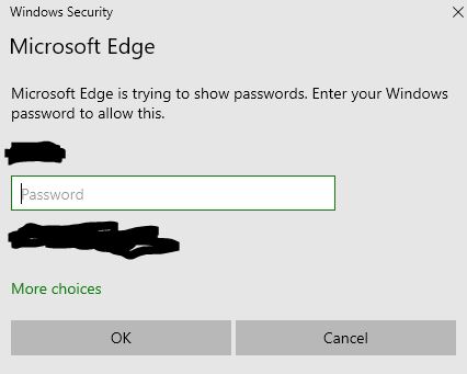 Window Edge windows sec - does Not recognize windows password 075f1ab7-0568-44c2-92d2-b389c3affdcf?upload=true.jpg