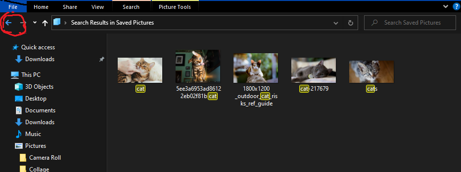 Folder Explorer Search Bar 088b8539-0a83-4c7b-a7d0-daeff185c2f0?upload=true.png