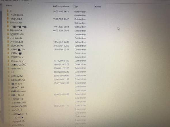 I cannot open "encrypted" files on Windows 10. Can anyone help me? 0_big.jpg