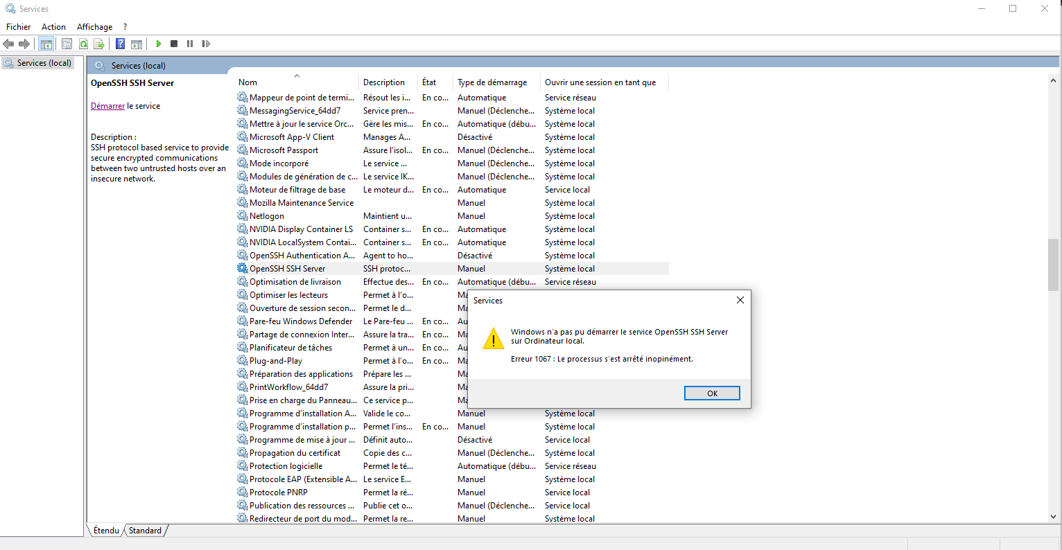 Create OpenSSH server windows 10 2004 : error 1067 ; can't run the service OpenSSH SSH... 0d2daa75-f7e2-4c94-95db-adce3010ac25?upload=true.png
