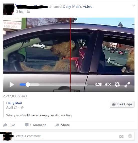 Red Line Down The Middle of Videos. 0ee3dc45-95c9-4f6f-b817-ecfac1823857.jpg