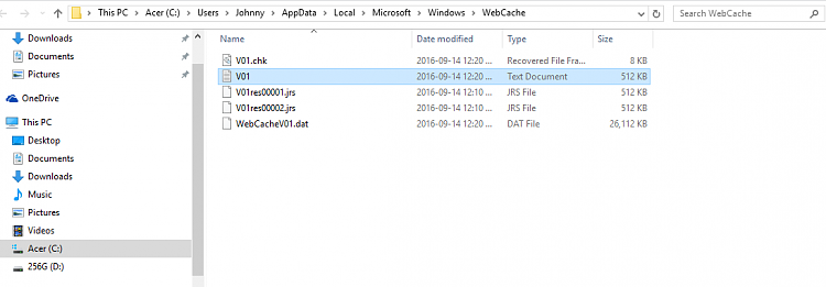 A log file named 'elevoc_dnn_kernel' keeps coming back even though I deleted it multiple times 101406d1485971857t-log-files-keep-coming-back-after-deleted-pics-screenshot-29-.png