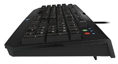 USB keyboard Razer Blackwidow V4 is disconnecting randomly 106a_thm.jpg
