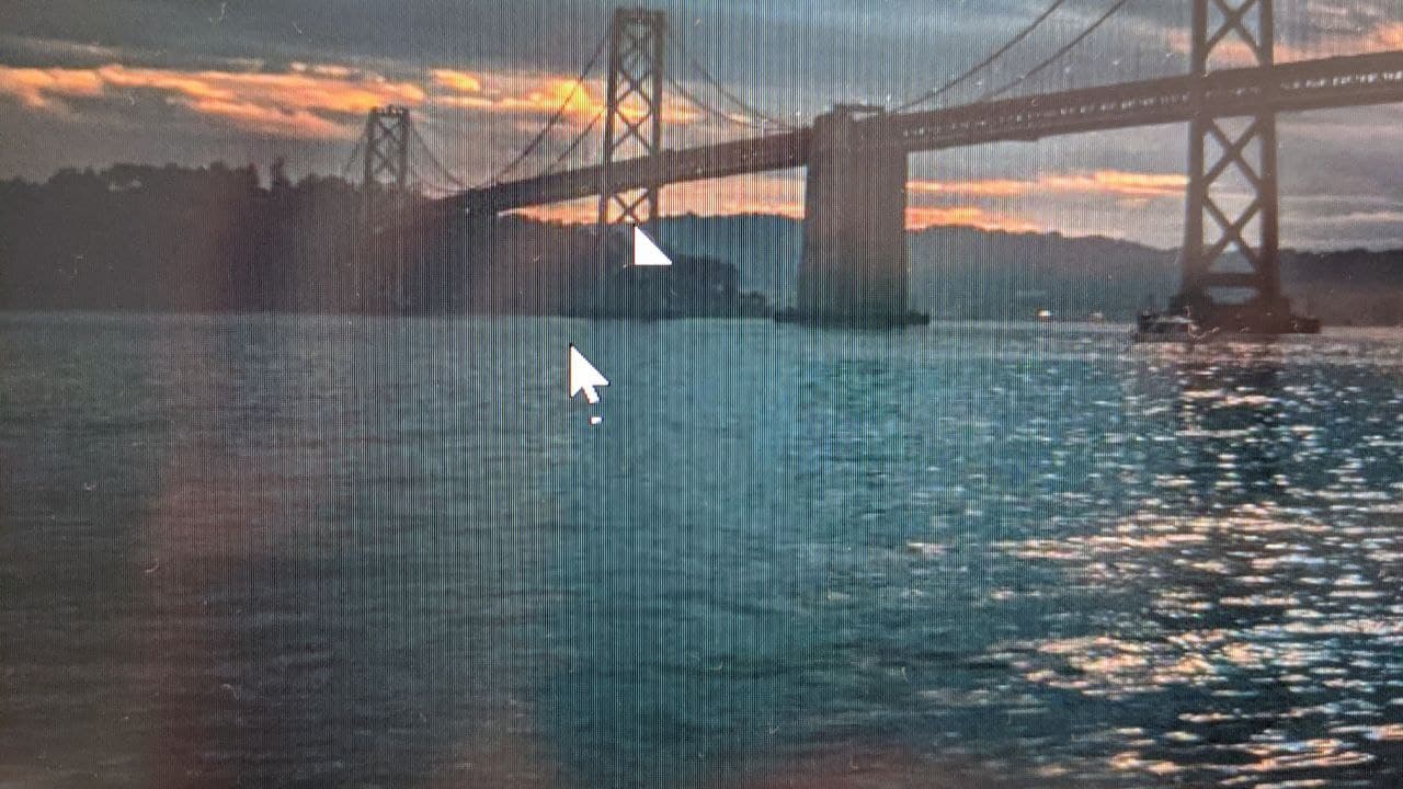 Double cursor and other graphics issues 14d54913-9ed4-41c2-a2ae-71e5c1d1e019?upload=true.jpg