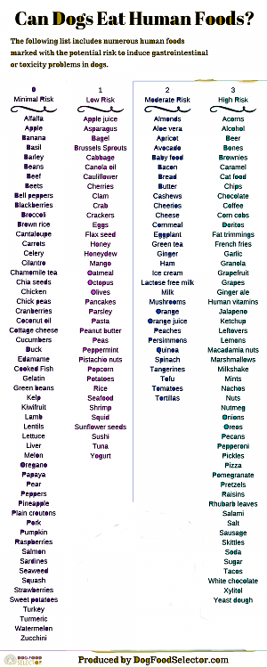 set the MFP4301 to print black and white 164709d1511146323t-need-print-list-black-white-can-dogs-eat-human-foods-infographic2.png