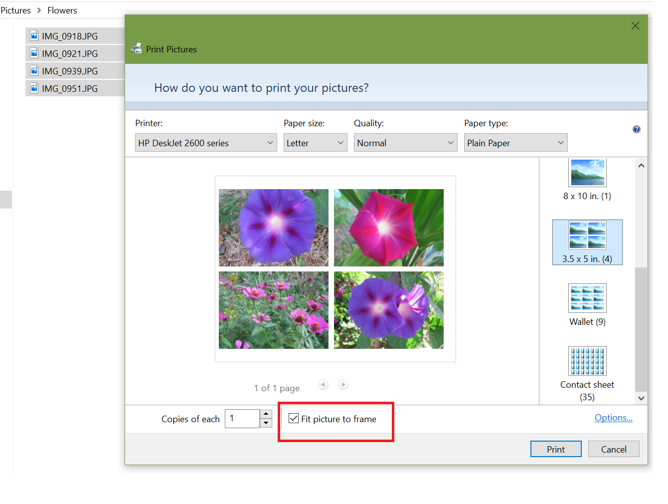 printing photo for passport 16609048-a374-415f-a657-66e2c0aca3cf?upload=true.png