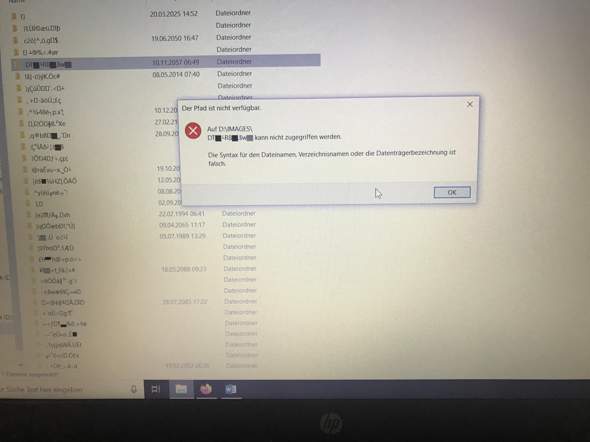 I cannot open "encrypted" files on Windows 10. Can anyone help me? 1_big.jpg