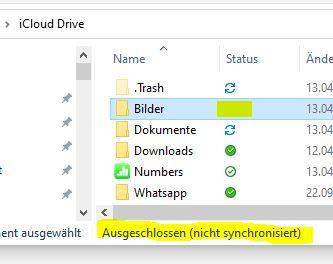 iCloud Drive excludes folders? 1_big.jpg