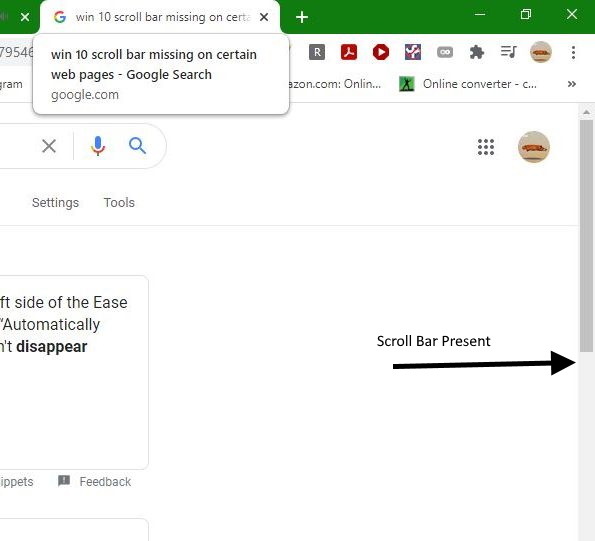 Vertical Scroll Bar Disappears 1aab0772-9b54-40d2-a8af-98aef8c2f640?upload=true.jpg