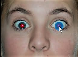 Windows 11 Photo Editing tool - Reg. Edit Image --> Adjustments-->Spot Fix / Red Eye... 1c68a501-eb4e-4243-b947-4622c0c1bfb2?upload=true.png