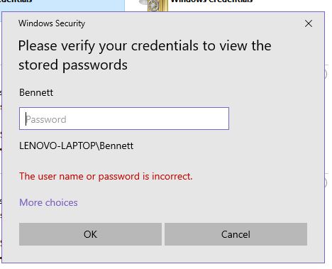 viewing stored passwords 1ec1eb85-f3c7-4671-bcdd-de4e40d2096d?upload=true.jpg