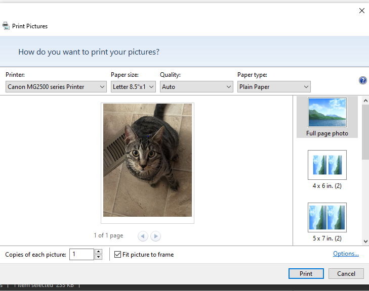 Printing Settings 1f246939-0c2d-4a49-945f-190079341d63?upload=true.png