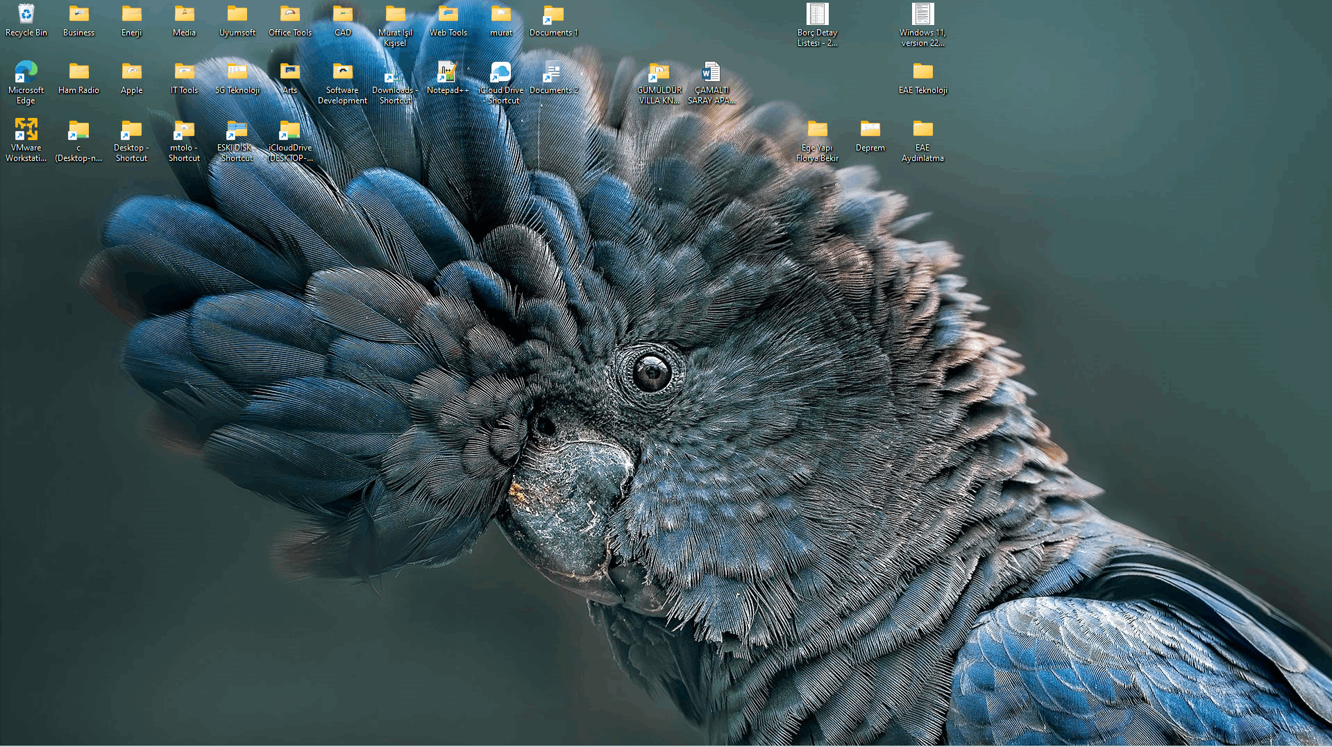 How to permanently remove “Learn about this picture” icon on my desktop with spotlight... 1hIGCwz6OjdAtzB9uwY0kIOtzj9K8%2b16%2f2Hb4BSh56lEej%2bN2R4QC0ouV4fH%2bjAzLJg9PdmxOHDuoNaDDKQH4%3d.png