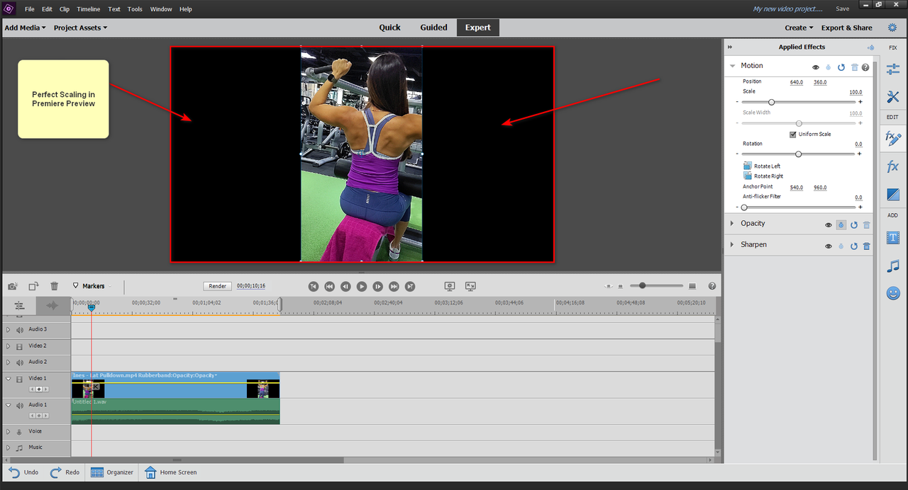 Any experts on Adobe Premiere? 2020-12-14-190047.png