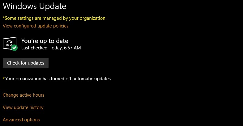 Update Windows 10 - From 1809 to 1903 21f1099b-e668-4909-8f58-134413fc2373?upload=true.jpg