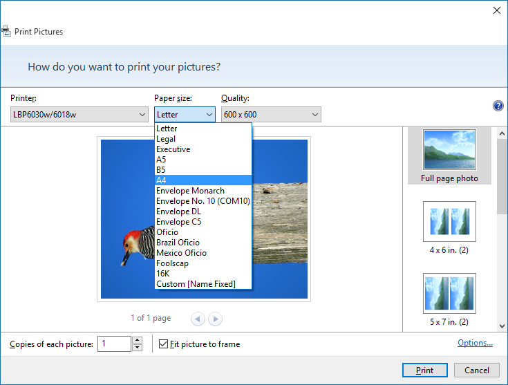 print photos borderless 248c9254-5d44-4bac-b21e-0f7a29204ab3.png