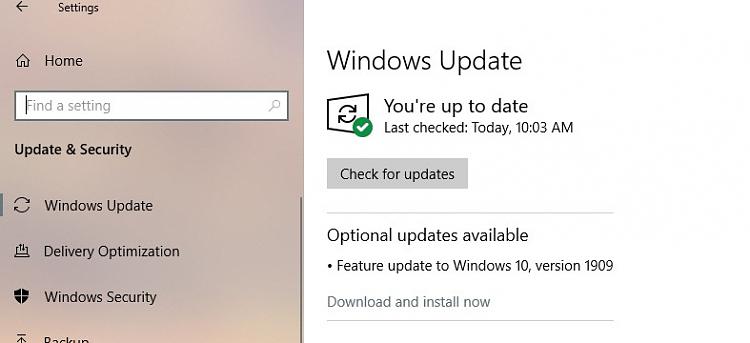 How to Downgrade Refurbished HP Laptop with Windows 11 to Windows 10? 254676d1573618875t-refurbished-hp-laptop-showing-update-v1909-2019-11-12_180850.jpg