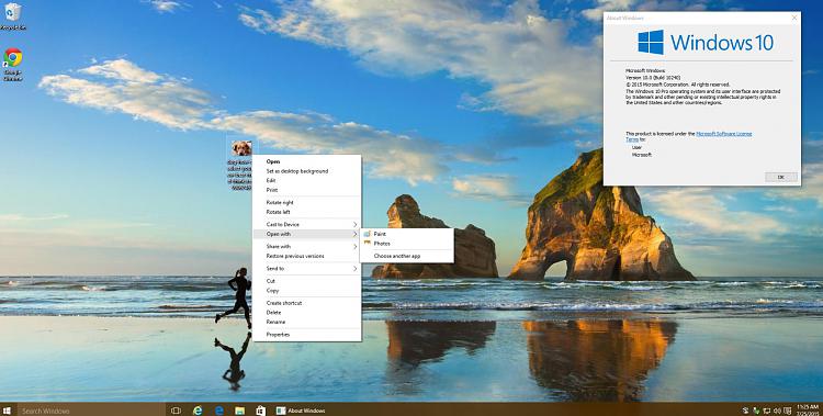 Windows photo viewer is gone after updating my Windows 25819d1485953034t-windows-photo-viewer-gone-capture3.jpg