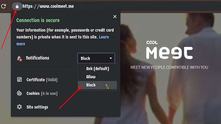 How do I stop this popup in the bottom right corner of the screen. 260318d1577064019t-3-major-problems-1-how-stop-chrome-popups-lower-right-corner-002819.png