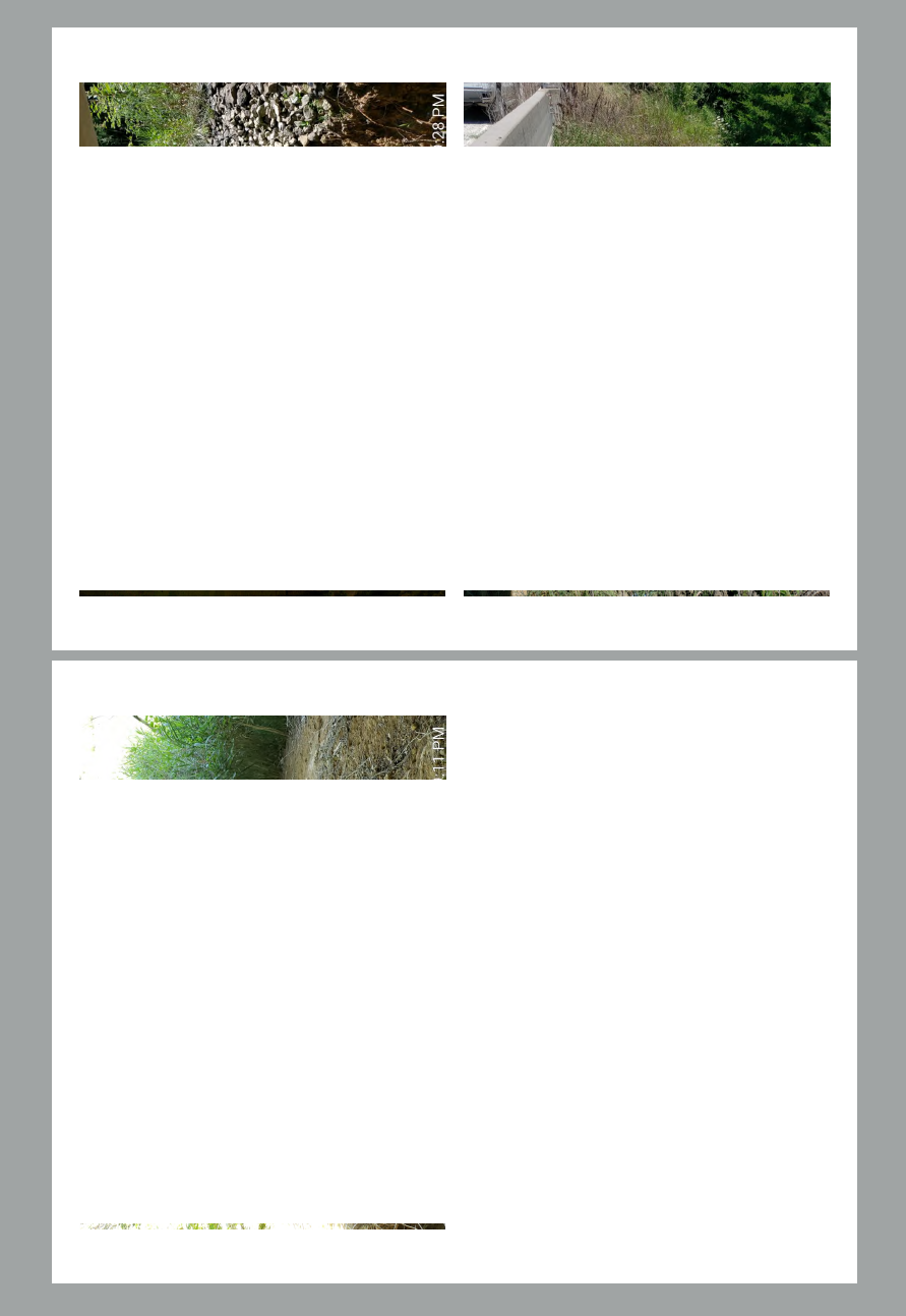 Right Click Print 26dbbf91-f658-45e4-82da-694037f55d1b?upload=true.png