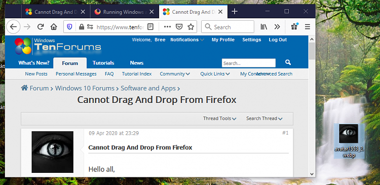 drag & dropping image files from firefox creates .url files that cannot be deleted 273773d1586477169t-cannot-drag-drop-firefox-image.png