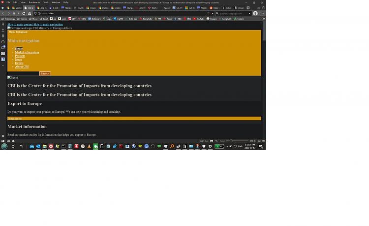 after i reset my laptop, i see that whenever i try to load any website in any browser... 297958d1600378049t-website-not-loading-correctly-all-browsers-0917-cbi-web-page.jpg
