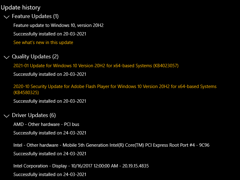 System itself causing 100% Disk Usage on PC after 20H2 and optional driver updates 2d5707a7-c8d0-4918-b3b1-8b2c3be17832?upload=true.png
