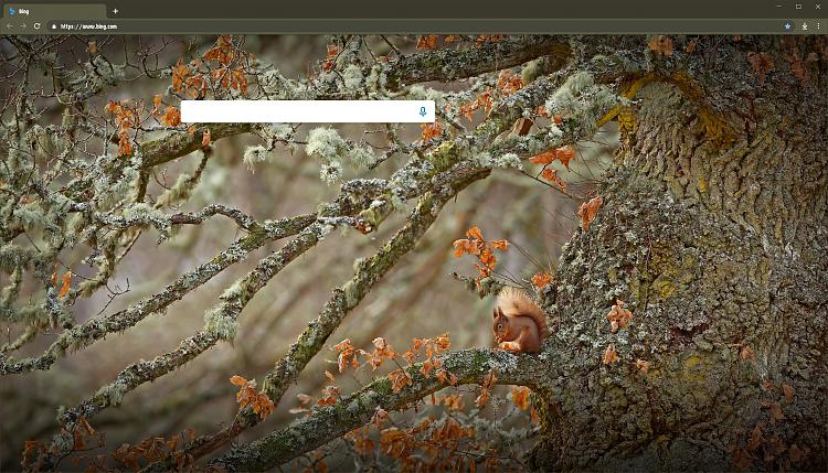 can you please help me get rid of the suggestions when i opena  new tab 315516d1611284290t-get-rid-bing-search-suggestions-edge-chromium-new-tab-page-000375.jpg