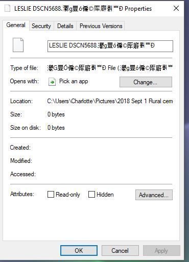 Photo file extension with strange characters 31b588e8-29c0-48e1-940b-ec5075f52d91?upload=true.jpg