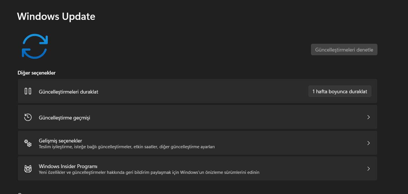 windows 11 güncelleme sorunu 31bc44e8-3b5f-4502-99e8-dc5898b12d95?upload=true.png