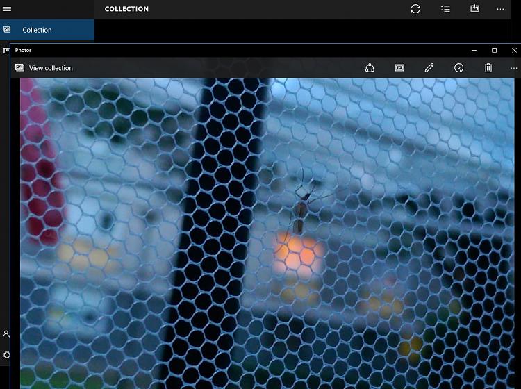 In MICROSOFT PHOTOS app i CANNOT DOUBLE CLICK and open photos in the DCIM folder in my... 32063d1485954609t-windows-10-photo-app-open-double-window-1.jpg