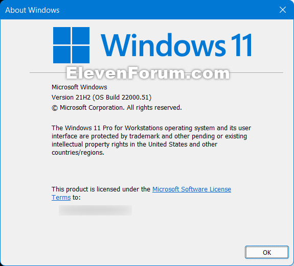 windows 11 preview 10.0.22000.51 339084d1624905827t-windows-11-insider-preview-dev-10-0-22000-51-co_release-june-28-a-w11_21h2.png