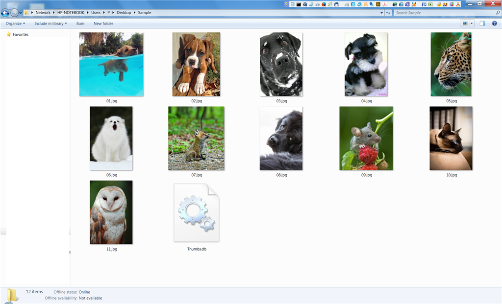 Jpg images not large enough to view properly don't change from large to extra large in view. 360fed3a-4b1d-43b6-946a-4bd42203f6d6.png