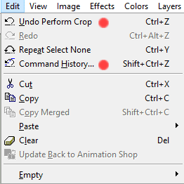 Is there any way to recover an undo history in Microsoft Paint? 373190d1660481454t-undo-ms-paint-image2.png