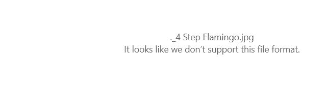 Files not supported - unable to open jpg in photos 3754dea6-e772-4329-8ef6-4ba470822e6c?upload=true.jpg