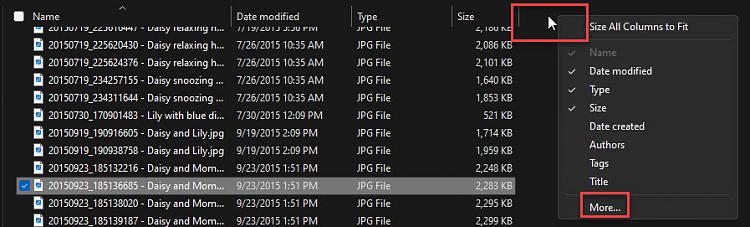 Why does photo editor no longer retain created date and camera specs when a photo is edited? 379119d1668461694t-old-digital-camera-photos-do-not-retain-original-exif-data-when-copied-image2.jpg