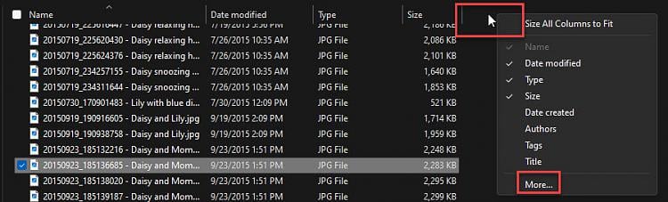 Why does photo editor no longer retain created date and camera specs when a photo is edited? 379119d1668461694t-old-digital-camera-photos-do-not-retain-original-exif-data-when-copied-image2.jpg