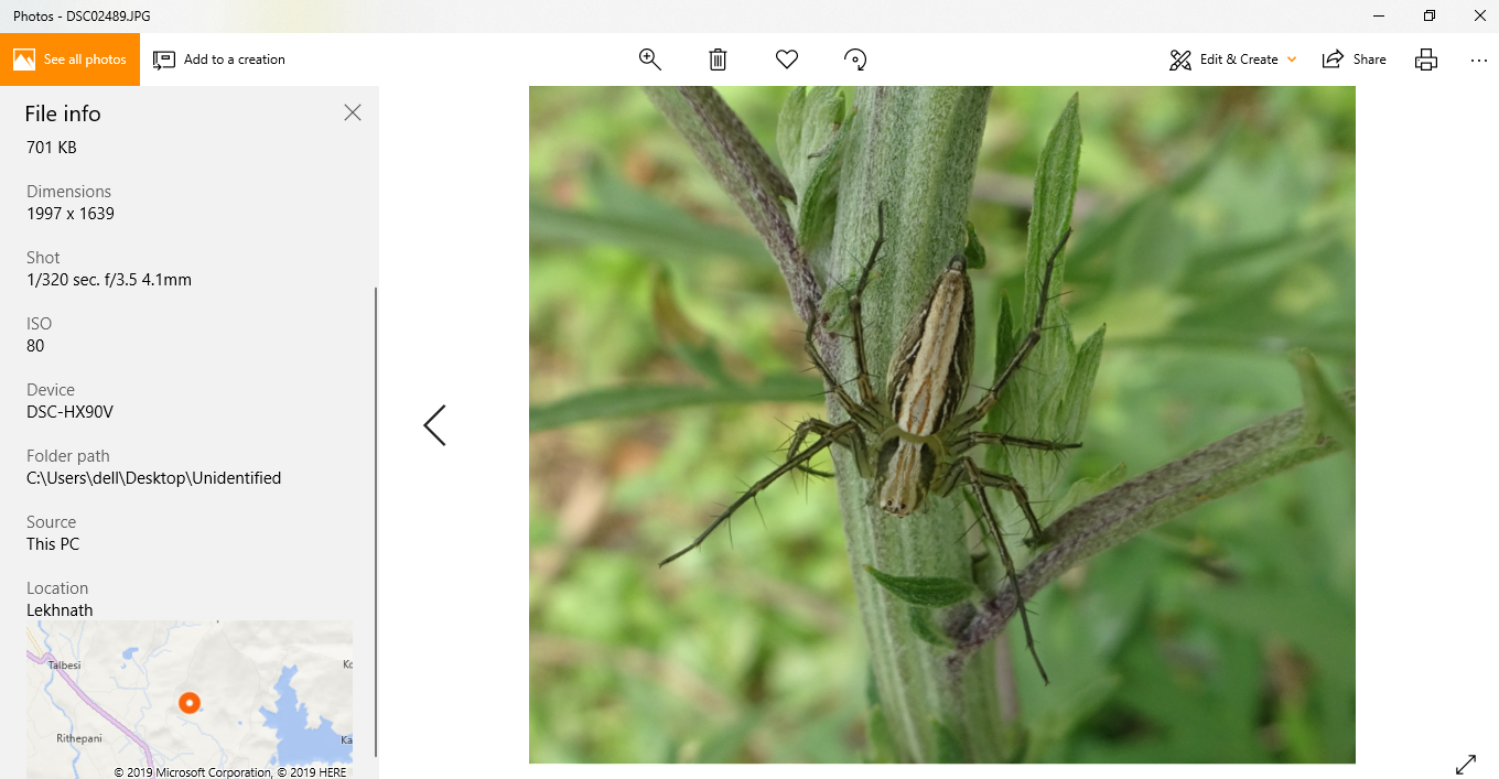 Changing GPS coordinates format in Photos 380dc0da-c190-469a-82f7-9cd36873abd6?upload=true.png