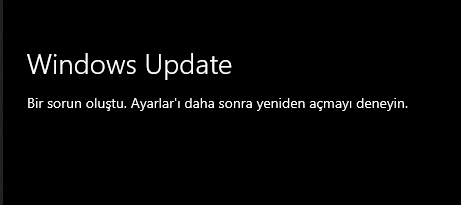 Windows update I encountered this problem, how can I solve it 38548091-108b-45cc-aa99-6f8ed3691bb7?upload=true.png