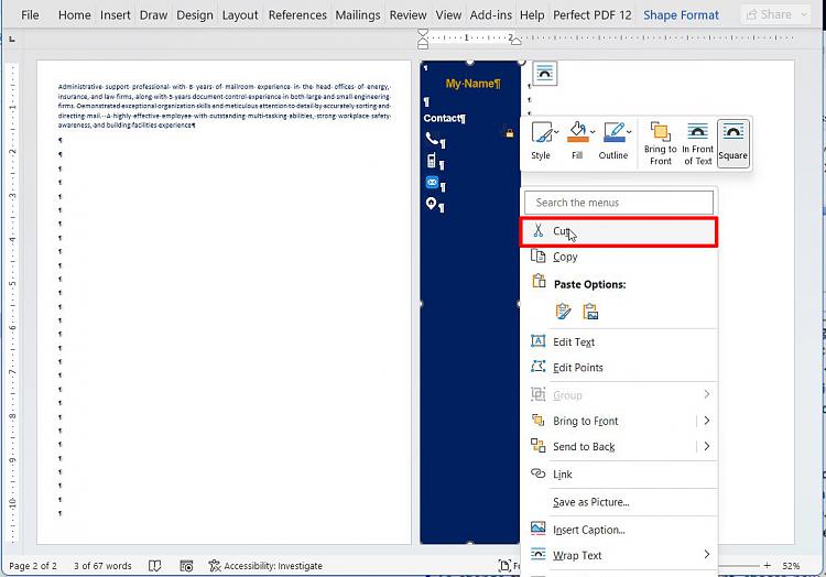 MSPaint crashing when placing text box 391089d1684557875t-keeping-text-box-surrounding-text-separate-resume-2c.jpg