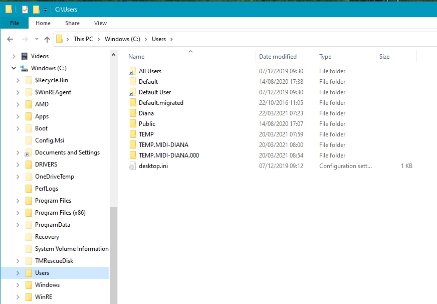 "TEMP" users in the Users folder cannot be deleted 39d431f1-dd7c-4020-b45a-c8fdaa0a3a22?upload=true.jpg