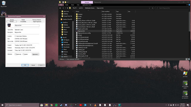Why am I missing the "Customize" tab in the application properties? 3uw69x4yq1t61.png