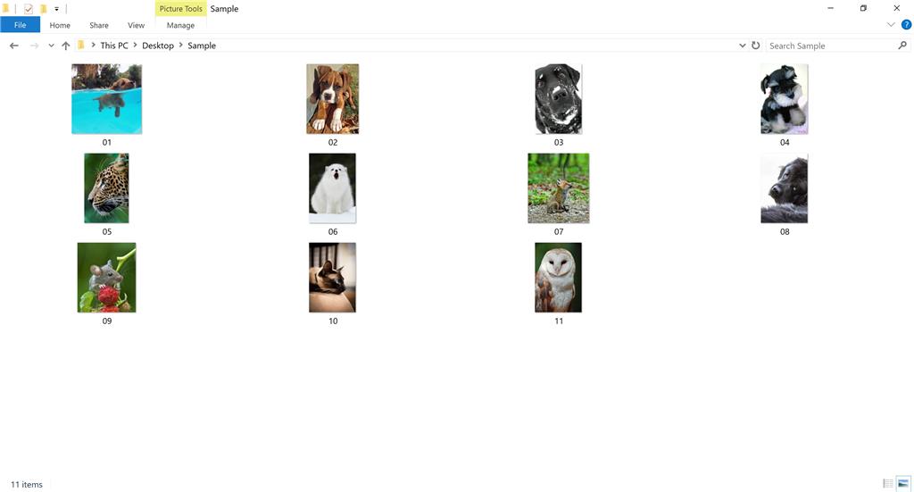 Jpg images not large enough to view properly don't change from large to extra large in view. 43c319f4-c1ea-48d2-b37c-1b6062c87ee9.jpg