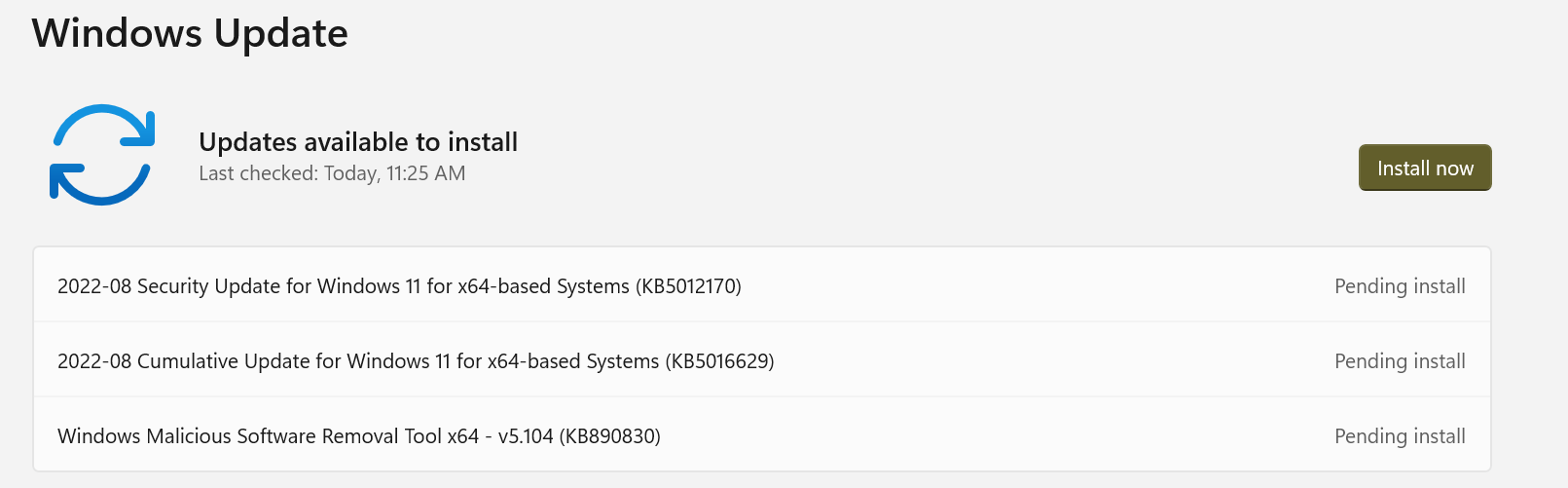 Is there a problem with August 2022 Windows 10 updates?  Cannot download any August... 463ca4dc-a99d-4d97-8290-54fcee97e2d2?upload=true.png